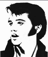 Elvis