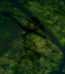 Enchantment Among the Leaves